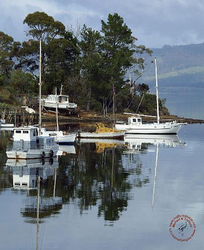 Tasmania Deep Bay 9F64D-11.JPG